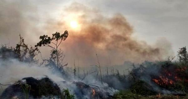 Incendios De Pastizales Se Registran En Tabasco