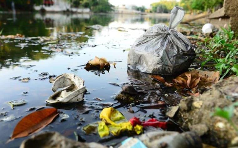 Microalga Y Basura Acaban Con R Os Y Lagunas En Tabasco