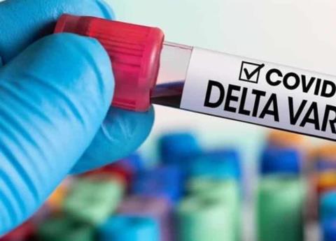 Conoce La Nueva Variante Delta Del Covid Que Ya Est En M Xico