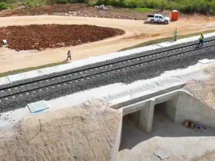 Tramo Del Tren Maya Avanza Con M S De Obras