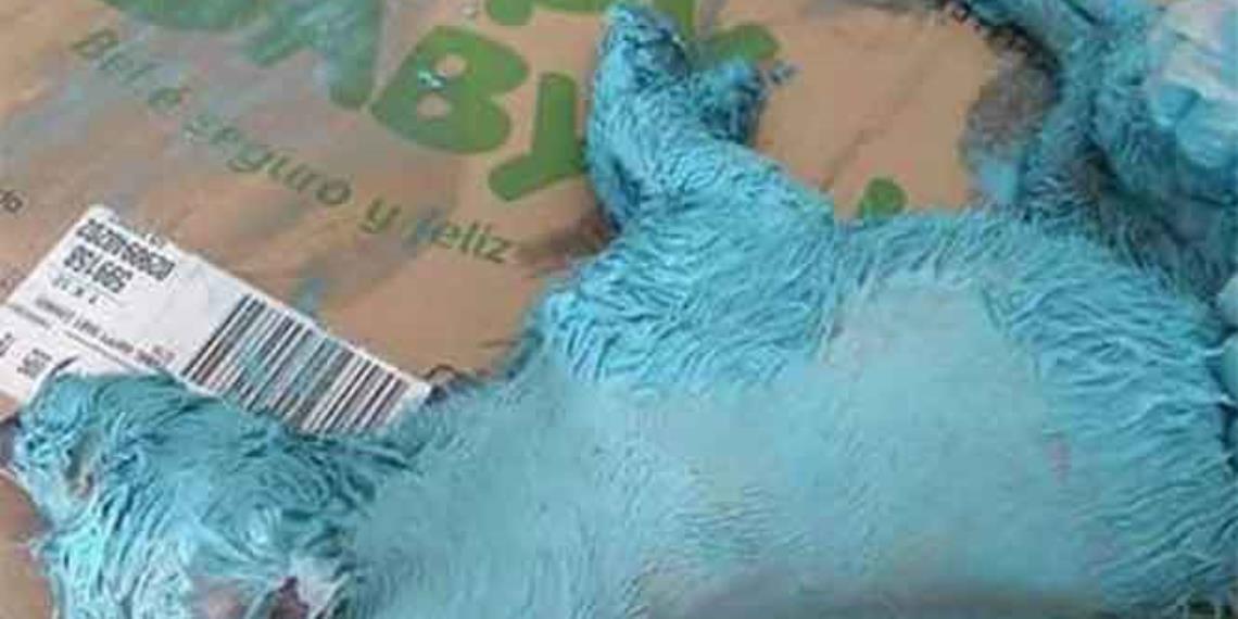 Baña a perrita de azul con pintura de aceite, y lo sube en Facebook