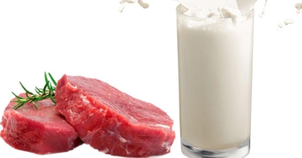 Carne y leche de Tabasco son catalogados de excelente calidad