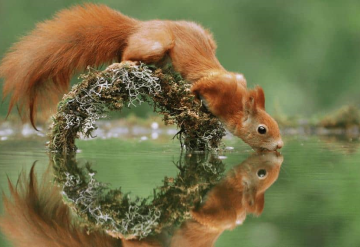 Cuando la naturaleza muestra su lado más tierno