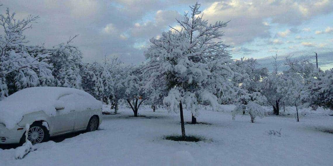 Imágenes y vídeos de la primera nevada en décadas en el norte de México