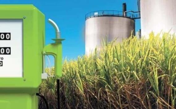 El etanol en México: lo que tienes que saber sobre este combustible