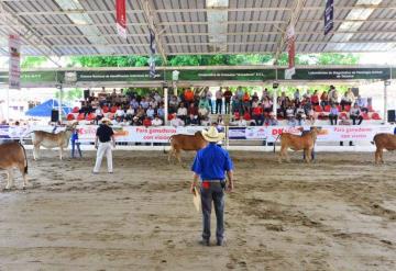 Ganadería tabasqueña se posiciona a nivel nacional