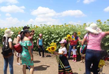 ¡No te lo pierdas! Disfruta la segunda temporada en el Santuario de los Girasoles