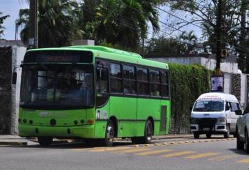 Adeuda Transbus 3 mdp de tenencia