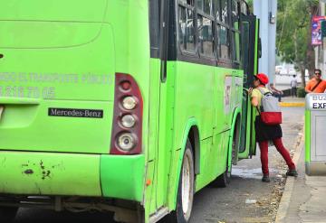 Transbus en decadencia, solo funcionan 80 unidades