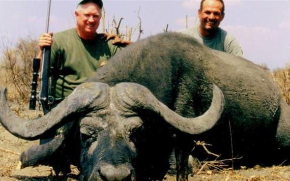 Búfalo mata a cazador que acababa de matar a un miembro de su manada.