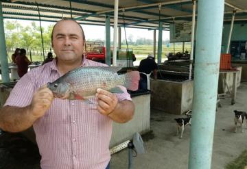 Buscan crear marca Tilapia Tabasqueña