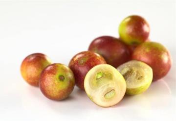 Camu-camu, la sorprendente fruta que combate la obesidad