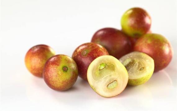Camu-camu, la sorprendente fruta que combate la obesidad