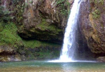 Después de bañarse en cascadas, enfermaron rápidamente y murieron, esto en Sonora