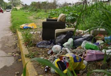 ¡Ojo! Terrenos baldíos sirven de nido para los asaltantes