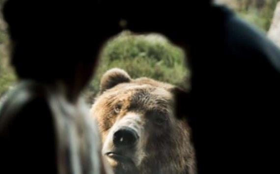 Pareja se casa dentro de zoológico y oso se roba el show