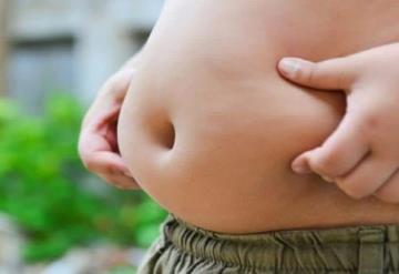 La proteína del estrés podría usarse para prevenir la obesidad