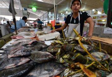 Sin riesgos por pescados y mariscos, descartado "virus del lago"