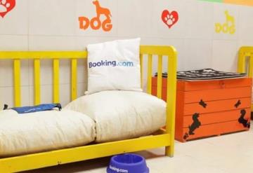 Booking.com ofrece hotel para perros en Argentina