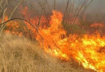 Provocó incendio forestal por conocer el género de su bebé