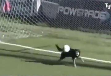 Un perro detiene un gol luego de meterse a partido de fútbol