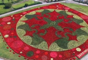 Teotihuacán rompen Récord Guinness por tapete de nochebuenas