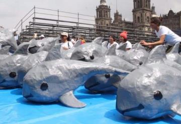 Científicos Llaman a AMLO a poner ejemplo para salvar a la vaquita marina