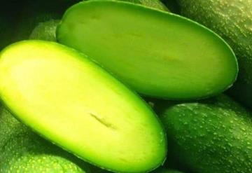 Ahora crean aguacate sin semilla; porque la gente no sabe usar los cuchillos al cortarlos