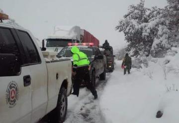 Sonora pide declarar emergencia por heladas