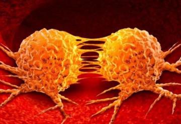 Descubren sustancia que evita la metástasis del cáncer