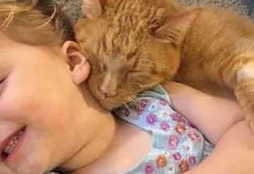 Hasta el último instante esta niña le cantó a su gatito para que muriera en paz