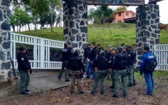Encuentran 100 reses robadas en rancho de un exdiputado de Veracruz