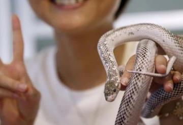 Este Zoológico te invita a poner el nombre de tu ex a una serpiente