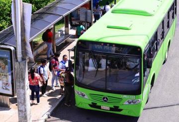 Transbus pretende implementar 50 unidades