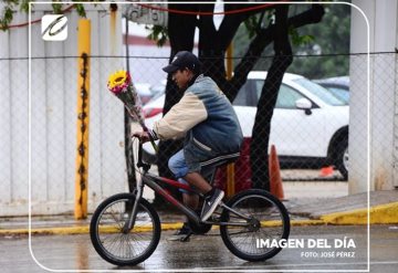 ¿Te han roto el corazón? No creemos que te hayas salvado de ser parte del porcentaje