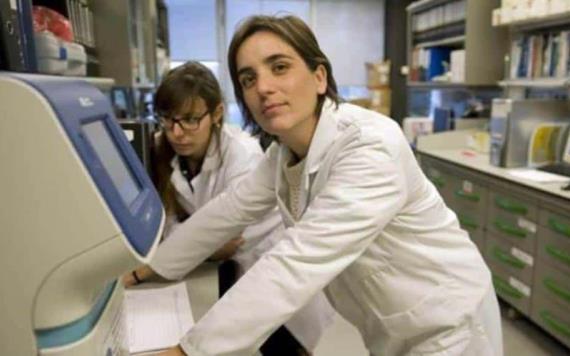 Científicos logran crear riñones con células madre
