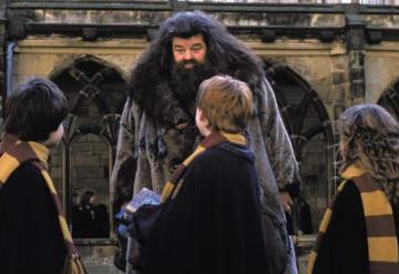 Hagrid de Harry Potter padece enfermedad que lo deja en silla de ruedas