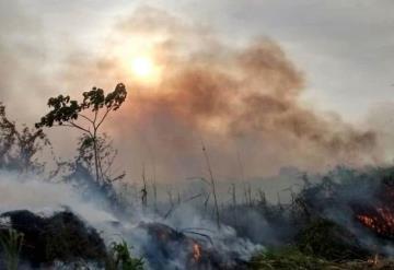 50 incendios de pastizales se registran en Tabasco