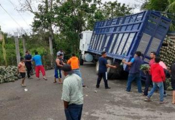 Camión cargado de piñas sufre accidente y NO, la gente no hizo rapiña, esta vez ayudó