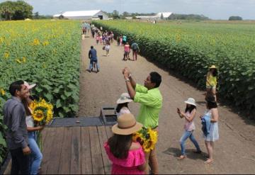 Ofrecen tours para Santuario de Girasoles y Balancán