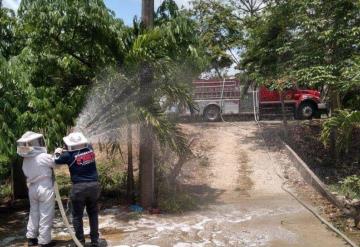 Abejas atacan a feligreses durante Viacrucis en la ranchería Corregidora