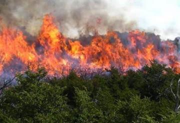 Hay 53 incendios activos en 16 estados del país