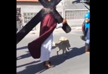 VIDEO: Perrito defiende a hombre que representaba a Jesús en un viacrucis