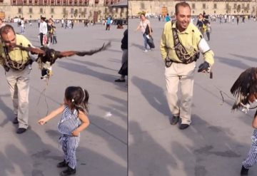 VIDEO Águila ataca a niña en el Zócalo