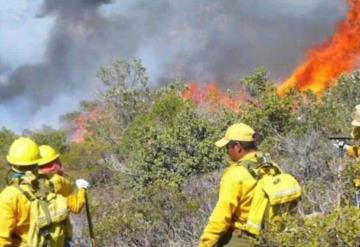 Declaran emergencia en Oaxaca por incendios forestales