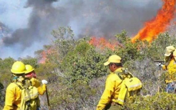 Declaran emergencia en Oaxaca por incendios forestales
