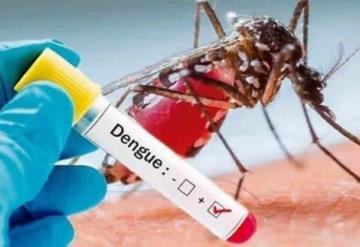 Confirma la Secretaría de Salud tres muertos por dengue hemorrágico en la entidad