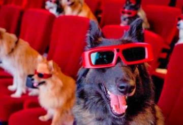 Ahora ya podrás ir al cine con tu perro