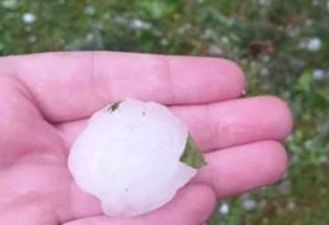 Llueven pelotas de granizo, hay heridos y daños