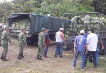 Dona Ejército 150 mil plantas para reforestación